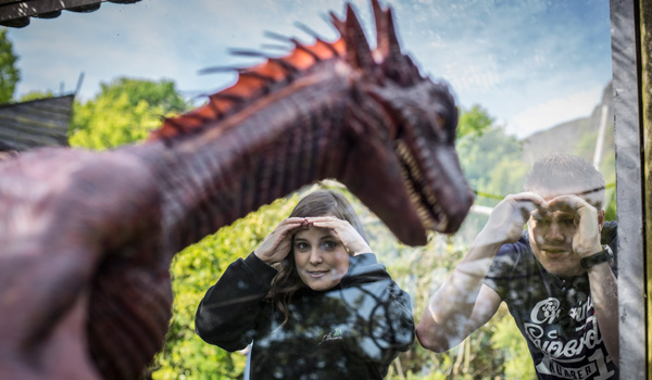 Dragon in Belfast Zoo