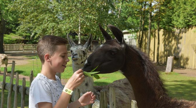 Granby Zoo, Quebec