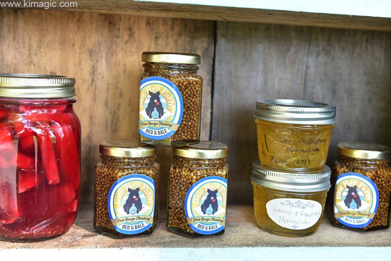 Blue Hen Farm True farmstead experience for city folks in Lanark area