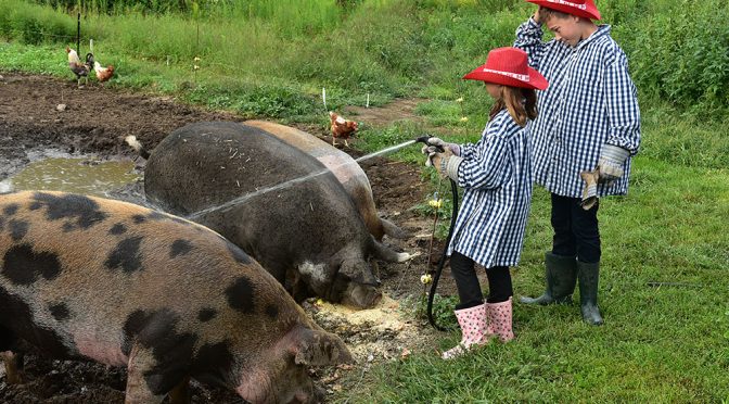 BLUE HEN FARM – TRUE experience